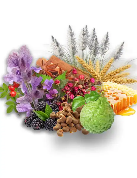 Delicate Gardens Clean Fragrance - Clean Fragrances